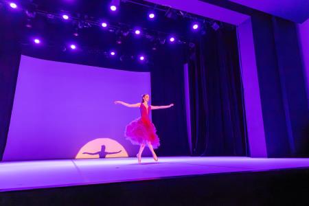 Območna revija plesnih skupin Finesa plesa 2024 (30)